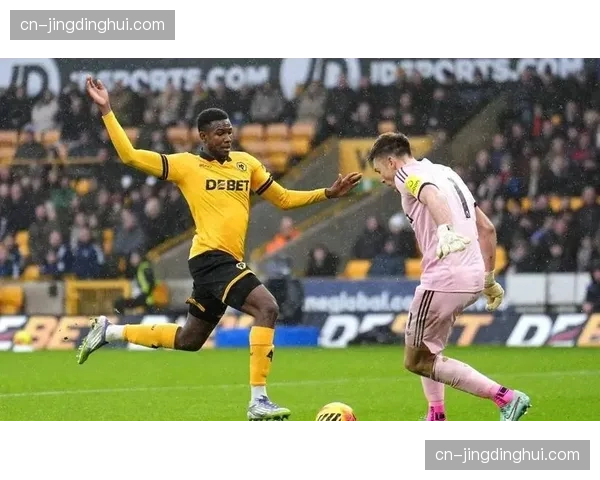 布伦特福德七人伤停，法比奥卡瓦略十字韧带撕裂